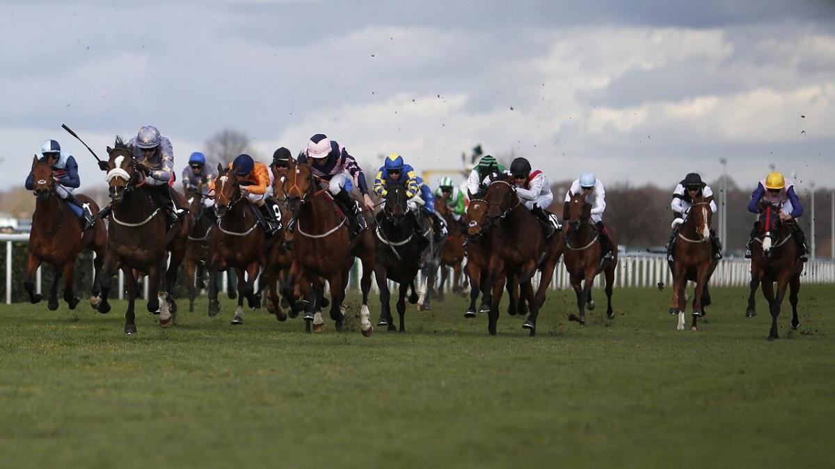 Horse racing at Doncaster
